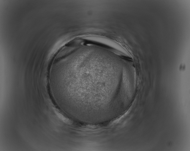 X0000092250101200710051307