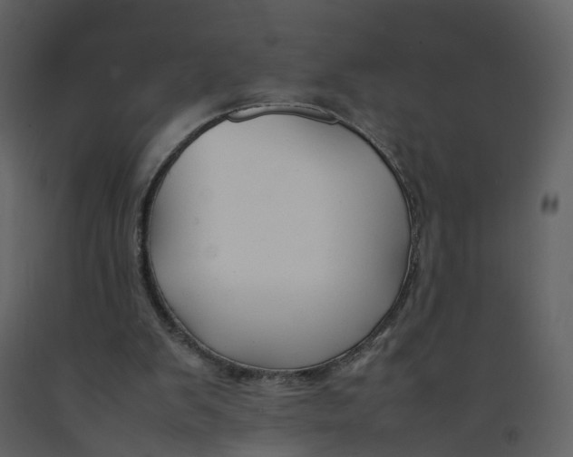 X0000092250103200710051307