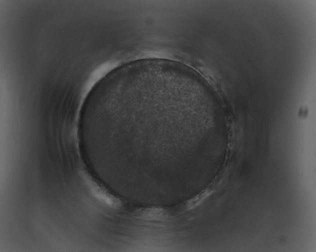 X0000092250104200710051307