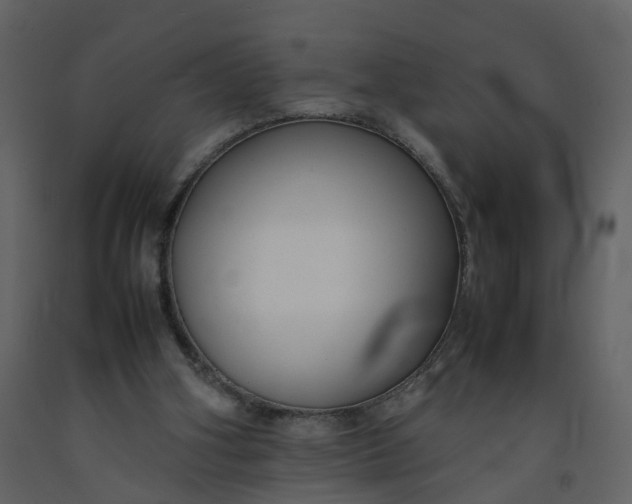 X0000092250106200710051307