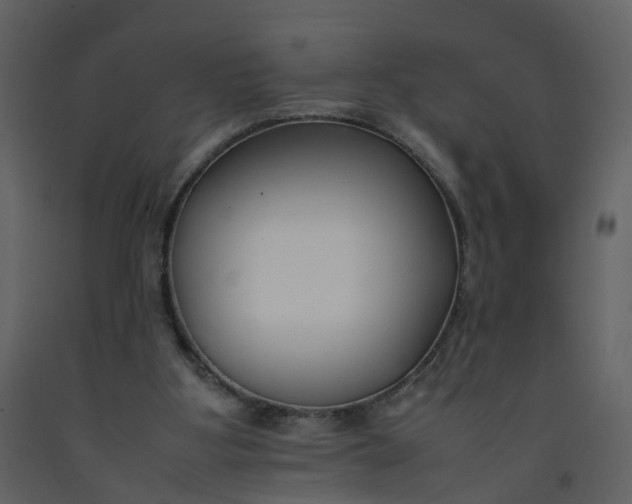 X0000092250107200710051307