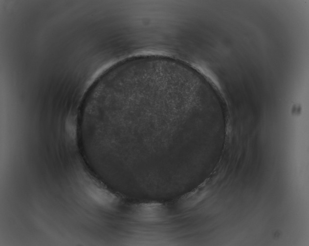 X0000092250108200710051307