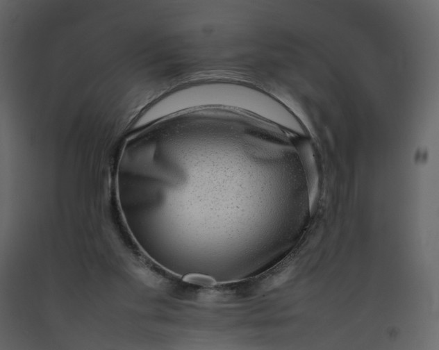 X0000092250109200710051307