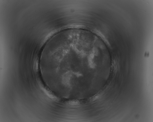 X0000092250110200710051307
