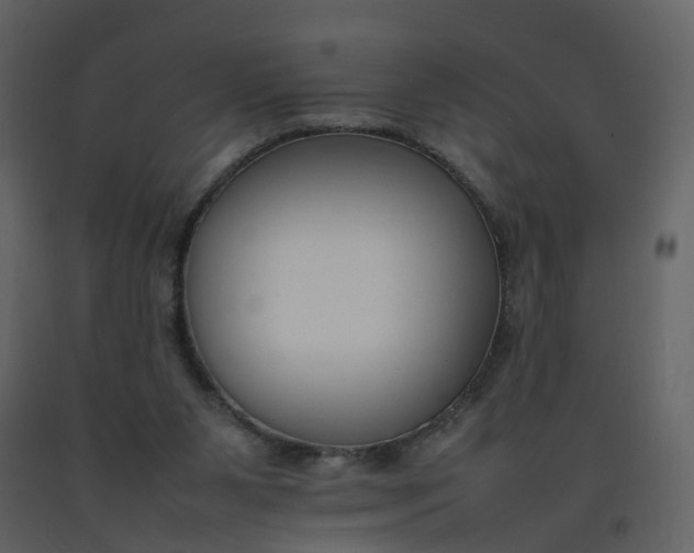 X0000092250111200710051307