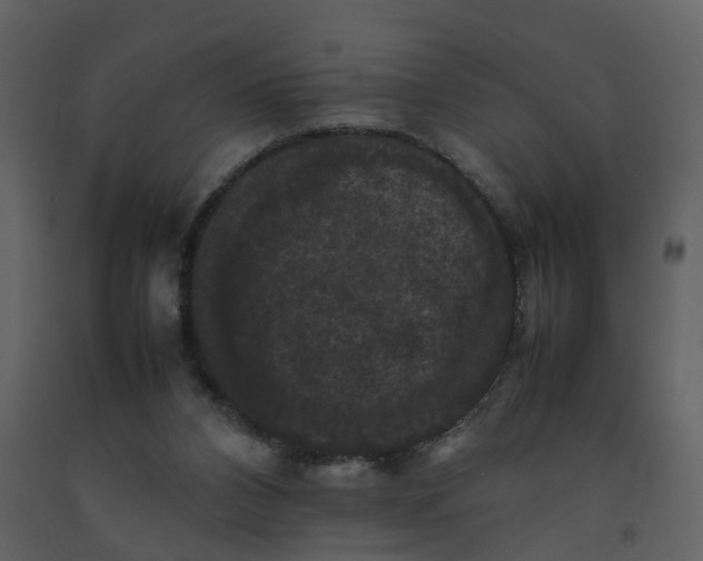 X0000092250112200710051307