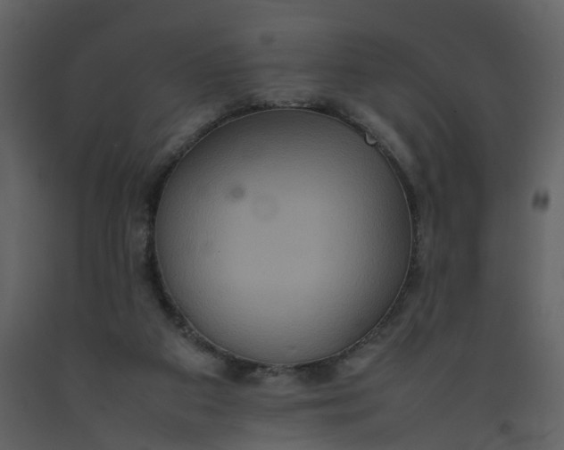 X0000092250113200710051307
