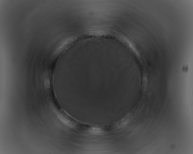 X0000092250114200710051307