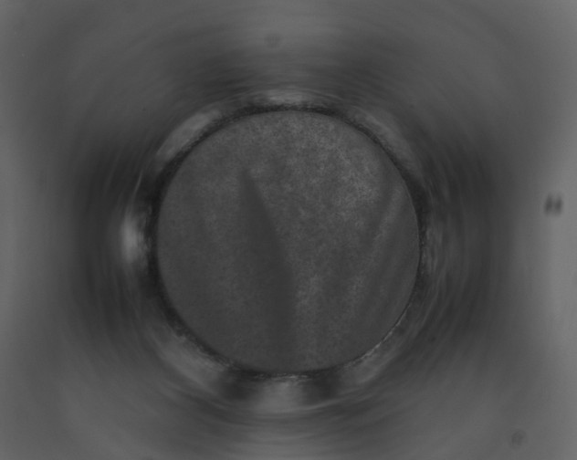X0000092250116200710051307