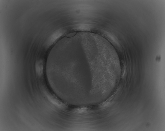 X0000092250120200710051307
