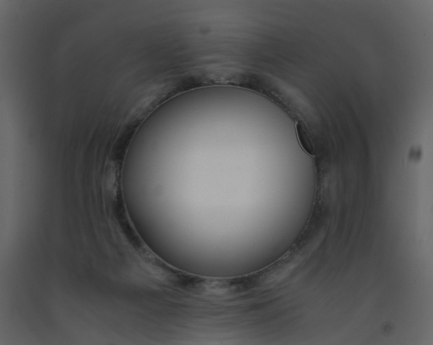 X0000092250121200710051307