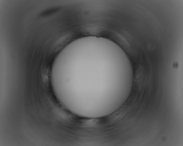 X0000092250122200710051307