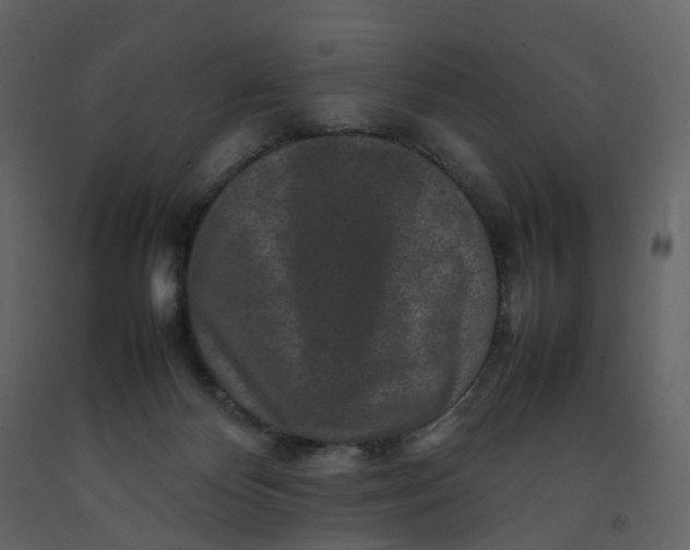 X0000092250124200710051307