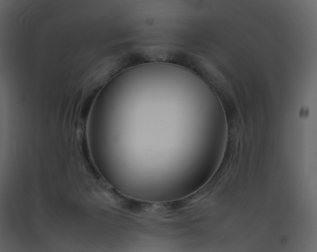 X0000092250125200710051307