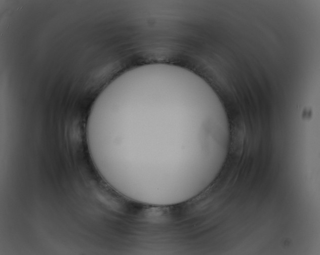 X0000092250126200710051307