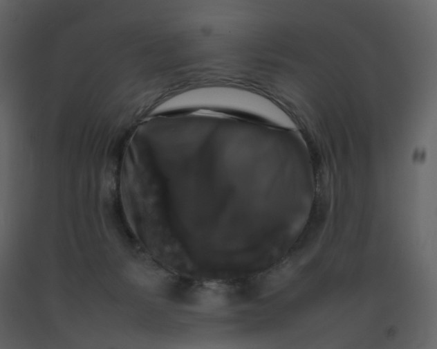 X0000092250127200710051307