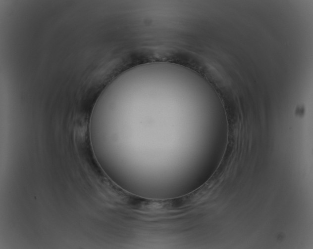 X0000092250129200710051307