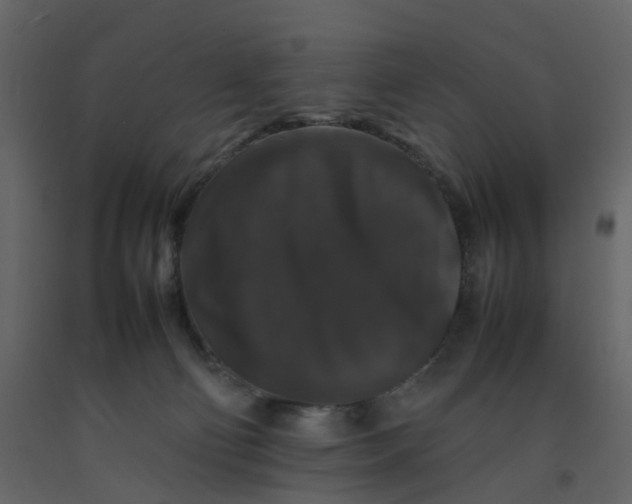 X0000092250130200710051307