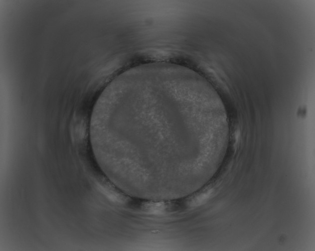 X0000092250131200710051306