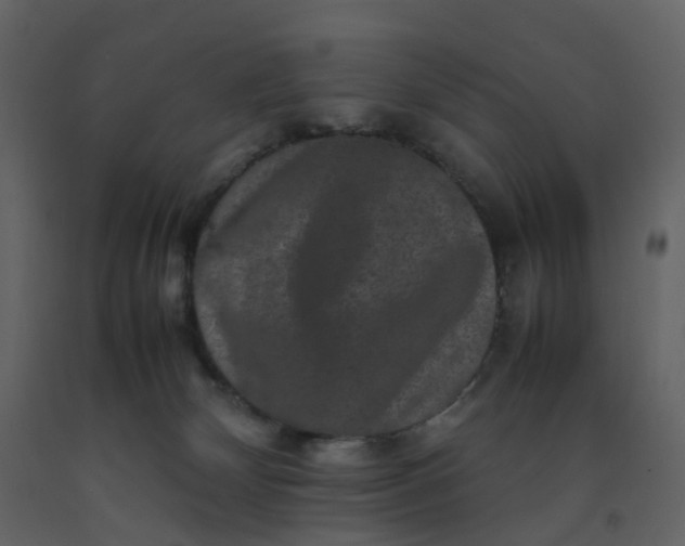 X0000092250132200710051306