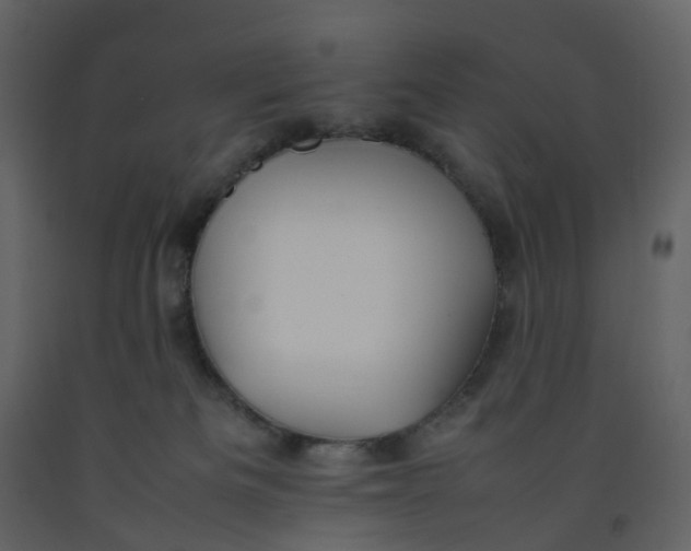 X0000092250133200710051306