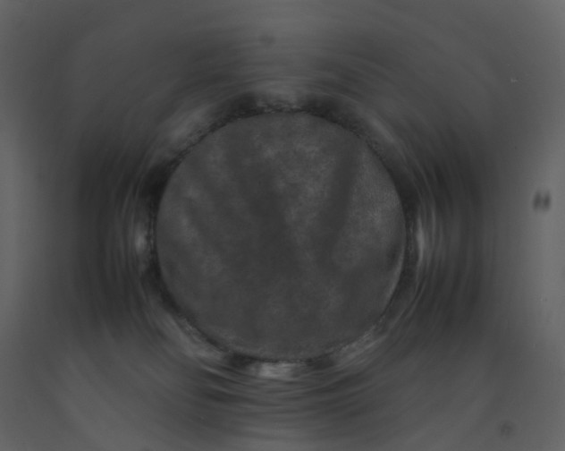 X0000092250134200710051306