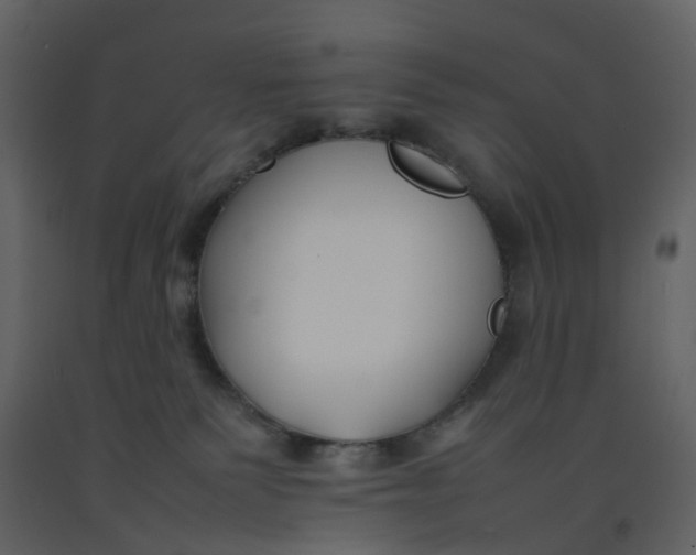 X0000092250135200710051306