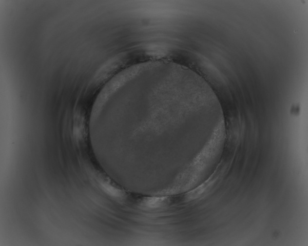 X0000092250136200710051306