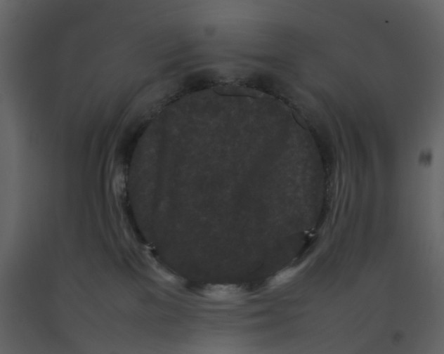 X0000092250137200710051306