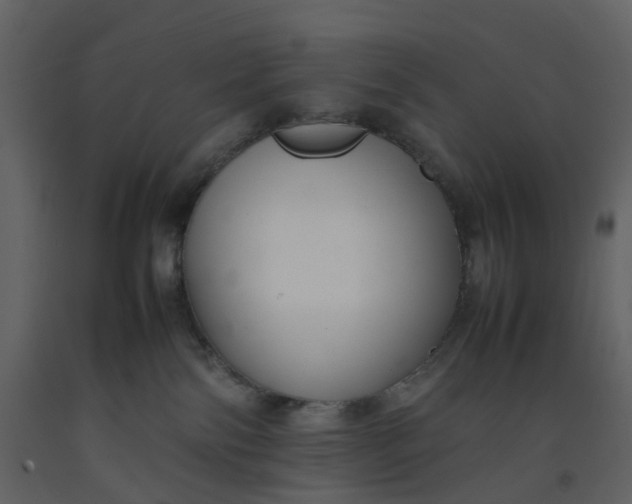 X0000092250138200710051306
