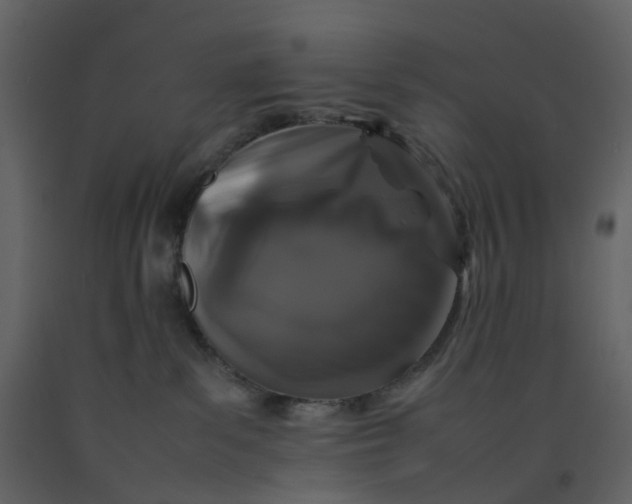 X0000092250139200710051306