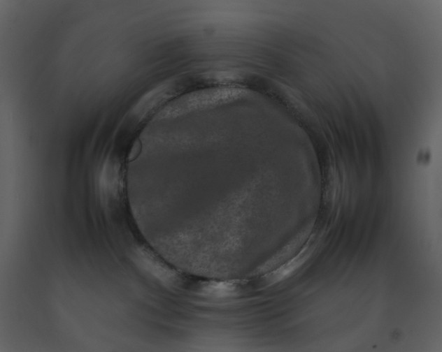 X0000092250140200710051306