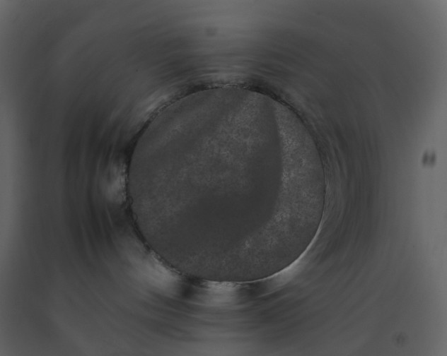 X0000092250144200710051306