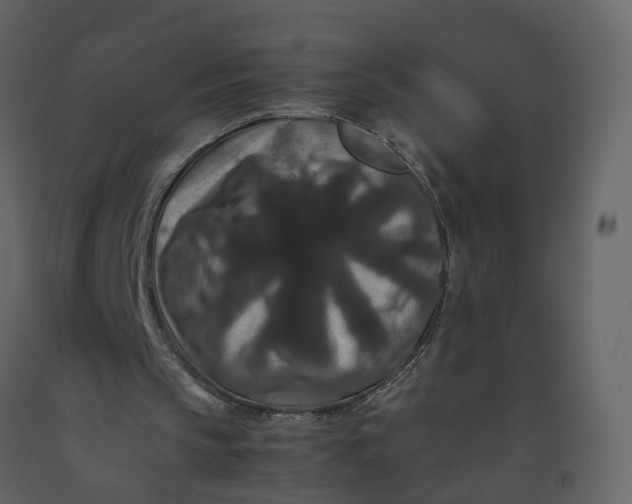 X0000092250145200710051306