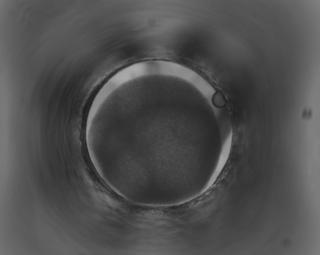 X0000092250146200710051306