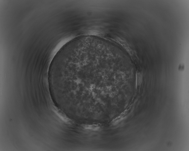 X0000092250147200710051306
