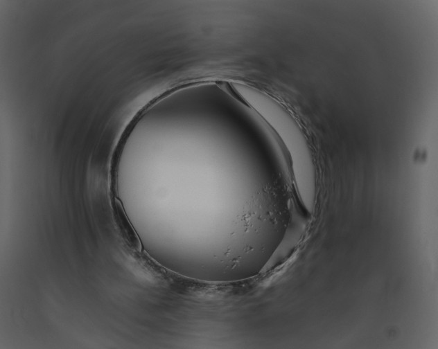 X0000092250148200710051306