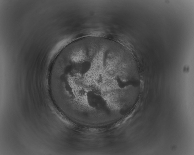 X0000092250149200710051306