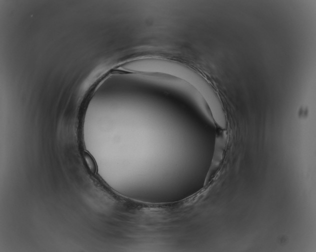X0000092250150200710051306