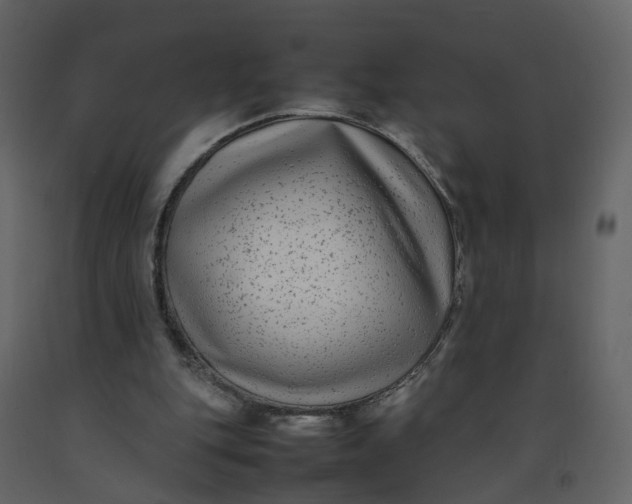 X0000092250151200710051306