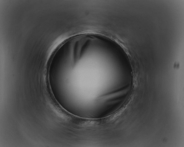 X0000092250152200710051306