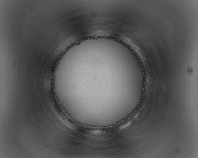 X0000092250153200710051306