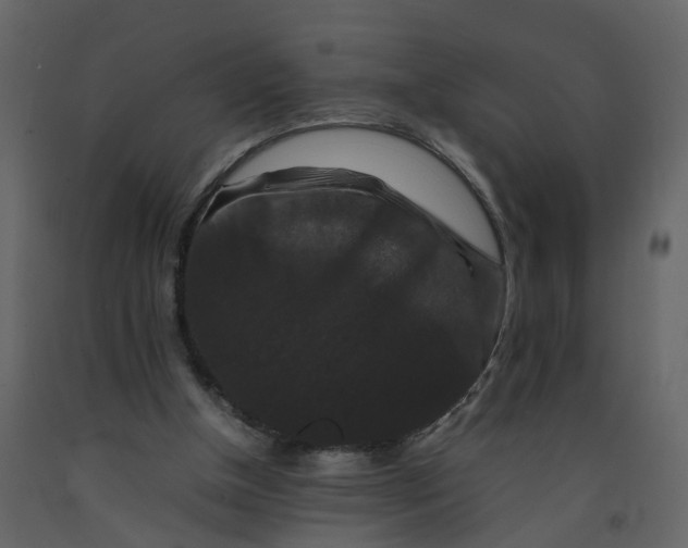 X0000092250154200710051306