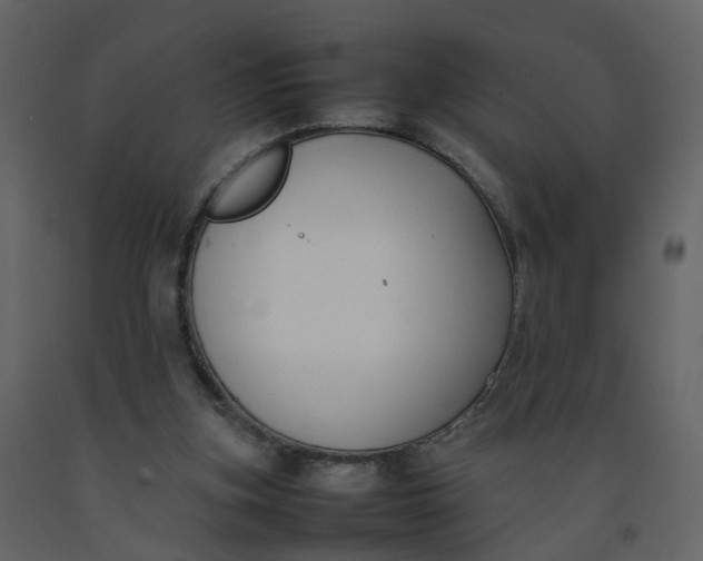 X0000092250155200710051306