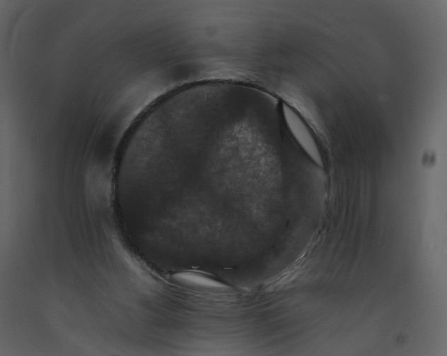X0000092250156200710051306