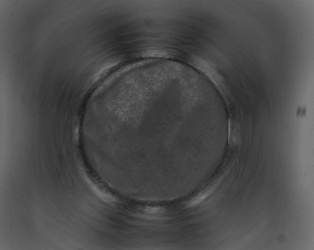 X0000092250157200710051306
