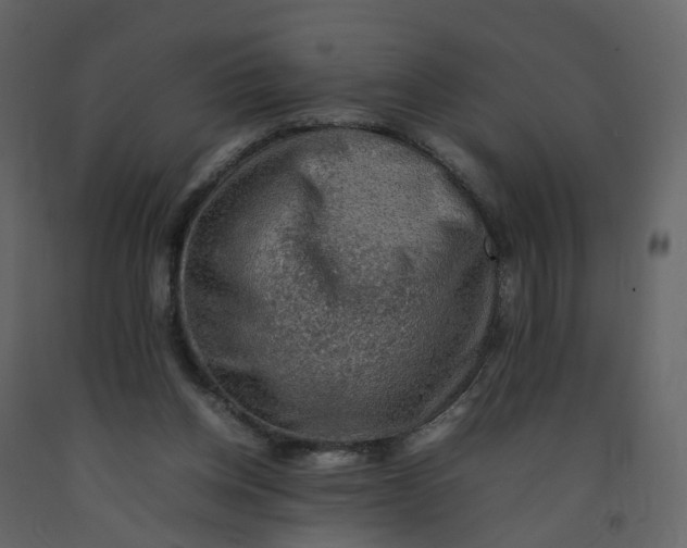 X0000092250158200710051306