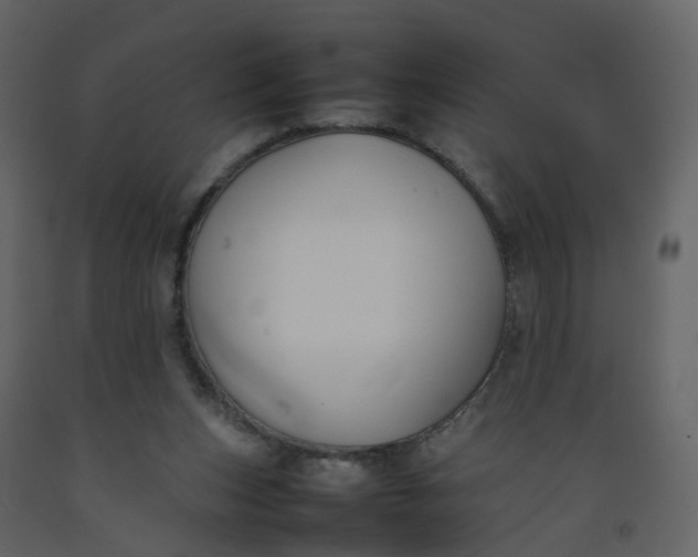 X0000092250159200710051306