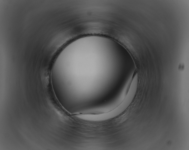 X0000092250160200710051306
