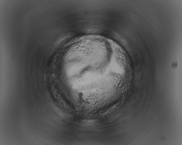 X0000092250161200710051306